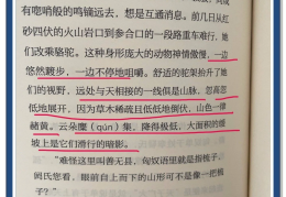 人物传记的人物特点(人物传记的人物特点怎么写)