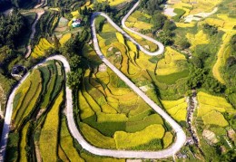 农村致富门路百度网盘(原来农村有这么多致富门路啊)