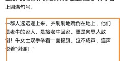 今日头条如何写作(今日头条怎么可以写文章)