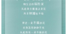 关于如何在头条号上发表音乐mv的信息