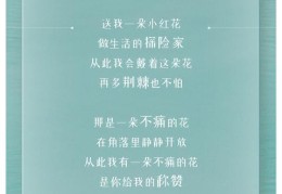 关于如何在头条号上发表音乐mv的信息