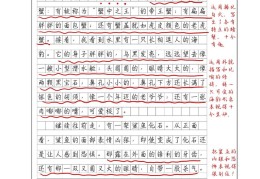 人物描写方法例文(人物描写方法专题训练)
