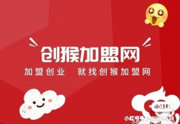 加盟创业网有哪些(创业加盟网站加盟公司)