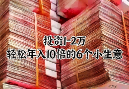 月入2万的10个小生意加盟投资(月入2万的10个小生意加盟投资是真的吗)