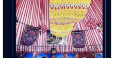 野马集团陈志峰发展史(野马新疆野马集团陈志峰那个籍贯是哪里)