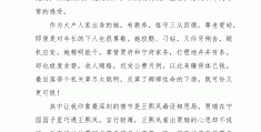 人物小传作文300字左右(人物小传作文300字左右初中)