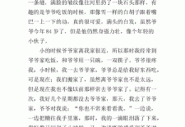 我的爷爷传记500字左右(我的爷爷传记500字左右怎么写)
