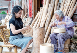 家庭致富小作坊赚钱真实案例视频(家庭致富小作坊赚钱真实案例视频播放)