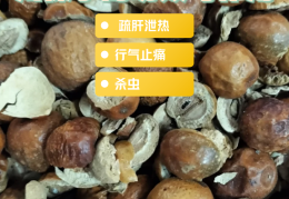 川冬子的功效和作用是什么的简单介绍