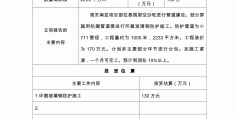 政府项目立项流程怎么写范文大全(政府项目立项流程怎么写范文大全图片)