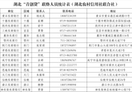 哪家银行有创业贷款(哪家银行有创业贷款业务)