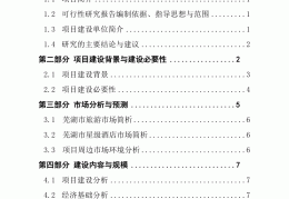 项目可行性报告的主要内容(项目可行性报告的主要内容有哪些)