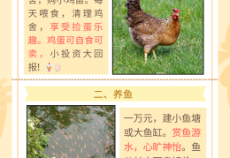 致富的含义是什么意思(致富的含义是什么意思啊)