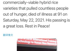 袁隆平事迹英文(袁隆平事迹英文版)