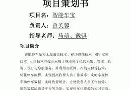 互联网加创业策划书(互联网加创业策划书ppt)