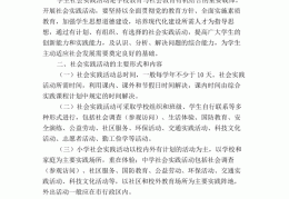 大学生项目计划书怎么写模板图片(大学生项目计划书怎么写模板图片大全)