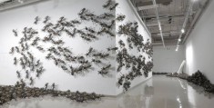 陈志光简介(陈志光蚂蚁作品价格)