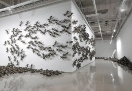 陈志光简介(陈志光蚂蚁作品价格)
