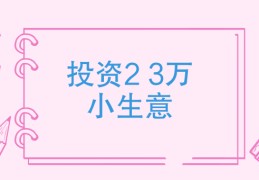 小投资加盟好项目怎样做(小投资加盟好项目怎样做好)