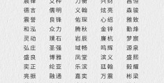 互联网创业名称大全(互联网创业名称大全及图片)