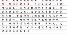 仿写人物传记母亲的作文600字(仿写人物传记母亲的作文600字怎么写)