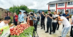 媒体头条账号开直播(头条上开直播怎么赚钱)