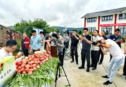 媒体头条账号开直播(头条上开直播怎么赚钱)