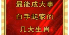 怎么样白手起家最快(如何白手起家赚钱创业致富)