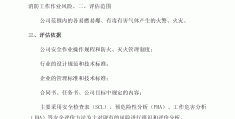 互联网风险评估报告怎么写(互联网风险评估报告怎么写的)
