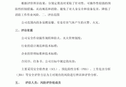 互联网风险评估报告怎么写(互联网风险评估报告怎么写的)