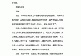个人求职报告范文(个人求职报告范文1000字)