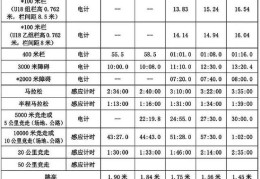 马拉松运动员等级标准更新(国家体育总局马拉松运动员等级)