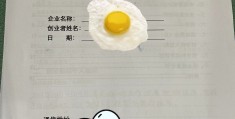 创新创业计划书的字体大小(大学生创业计划书的字体要求)