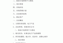 互联网创业计划书范文模版(互联网+创业计划书大学生版)