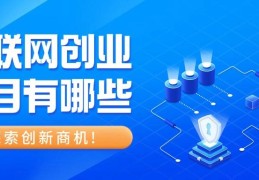 互联网创新创业项目官网(互联网+创新创业项目平台)