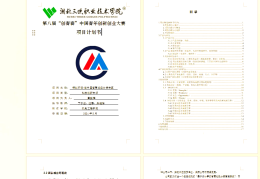 项目计划书简本怎么写模板(项目计划书简本怎么写模板图片)