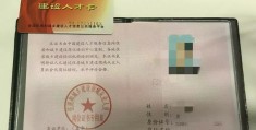 项目经理岗位证书查询(项目经理岗位证书查询系统)