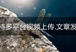 头条号创作平台官网app下载(头条号创作平台官网app下载安装)
