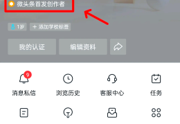 头条如何申请原创作者认证(头条如何申请原创作者认证账号)