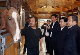 野马集团陈志峰开的车(野马集团董事长陈志峰哪的人)