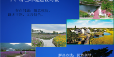 包含乡村振兴项目设计思路与创新点怎么写的词条