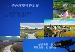 包含乡村振兴项目设计思路与创新点怎么写的词条
