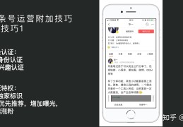头条简介怎么写吸引人涨粉(头条号简介30字怎么写例如)