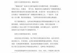 小本投资的项目(小本投资的赚钱项目)