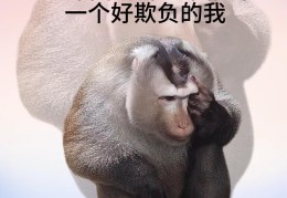 职场上用的成语大全(形容职场的成语有哪些)