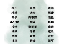 适合女孩开的店铺名字(2021年适合女孩子开店的项目)