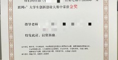 互联网+创新创业大赛全国总决赛(2021互联网+创新创业大赛获奖)
