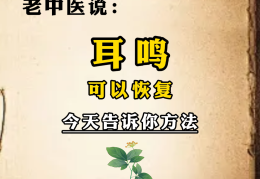 耳鸣名医(耳鸣名医医案)
