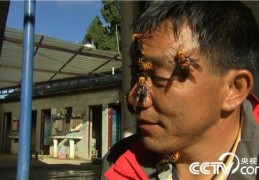 关于致富经节目组联系方式的信息