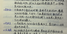 高中人物素材积累摘抄(高中人物素材积累摘抄及感悟)